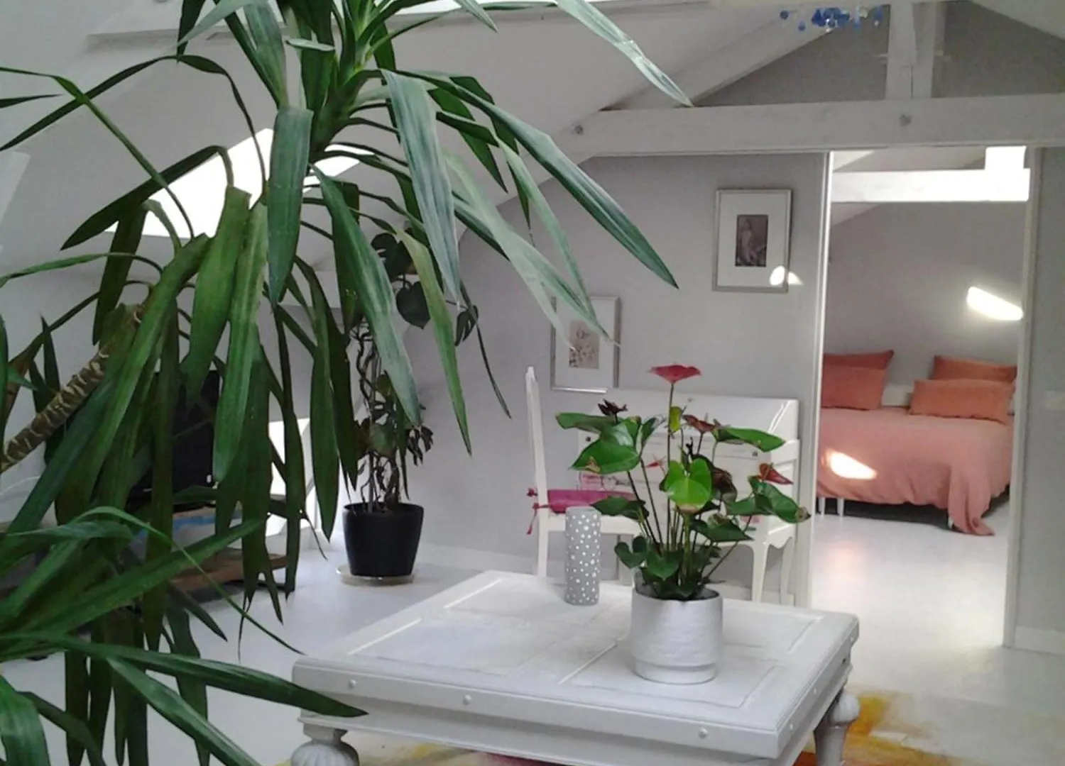Bed and Breakfast Quai N5 Luzech