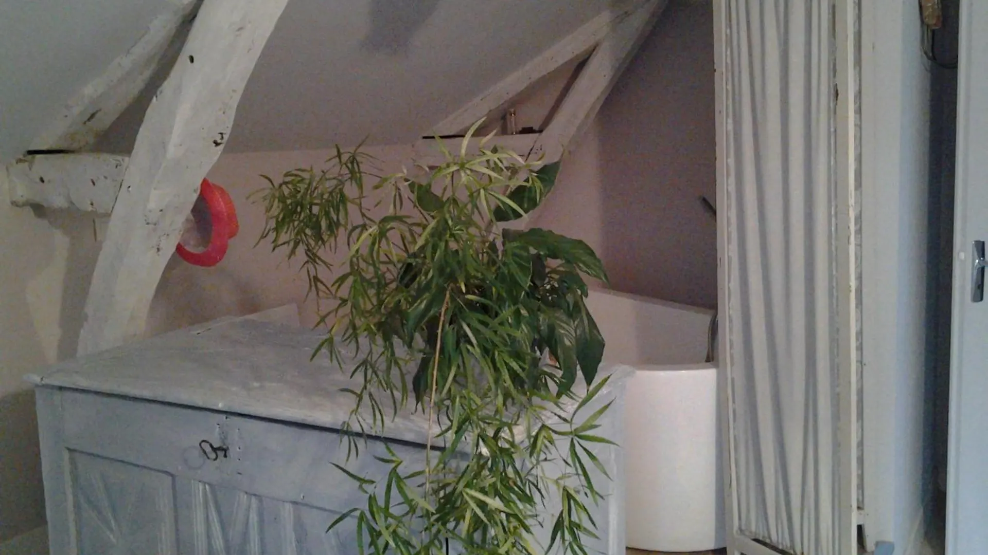 Bed and Breakfast Quai N5 Luzech 0*,